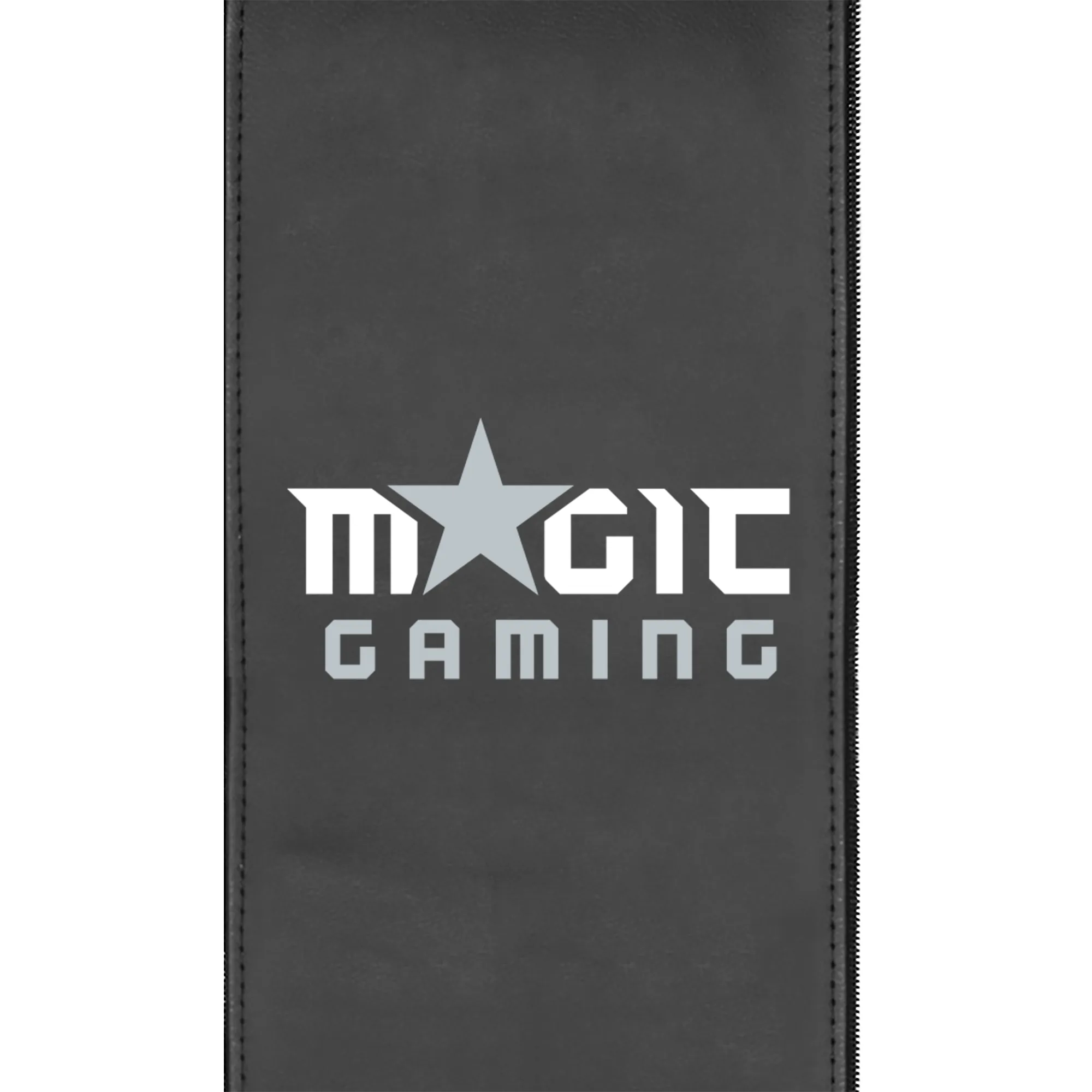 Orlando Magic Gaming Logo Panel