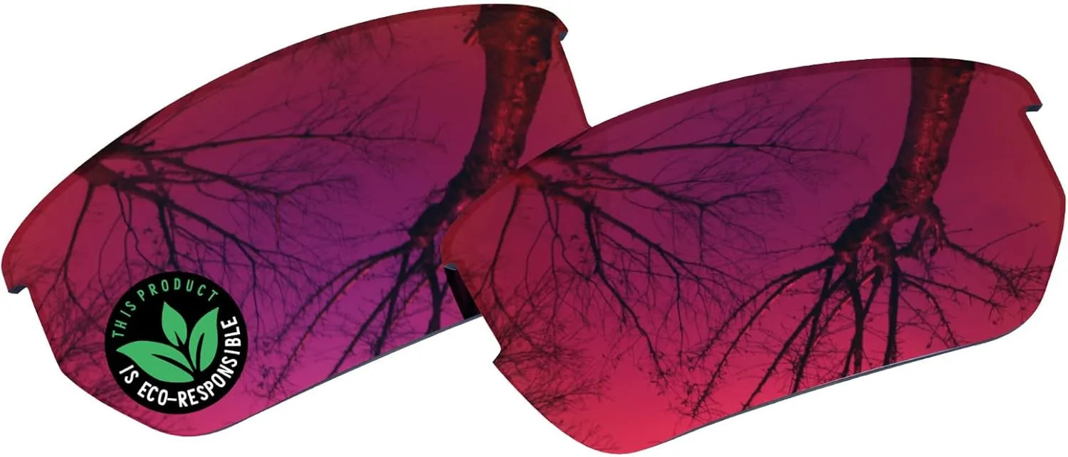 Raydi Polycarbonate Replacement Lenses for Von Zipper Clutch Sunglasses